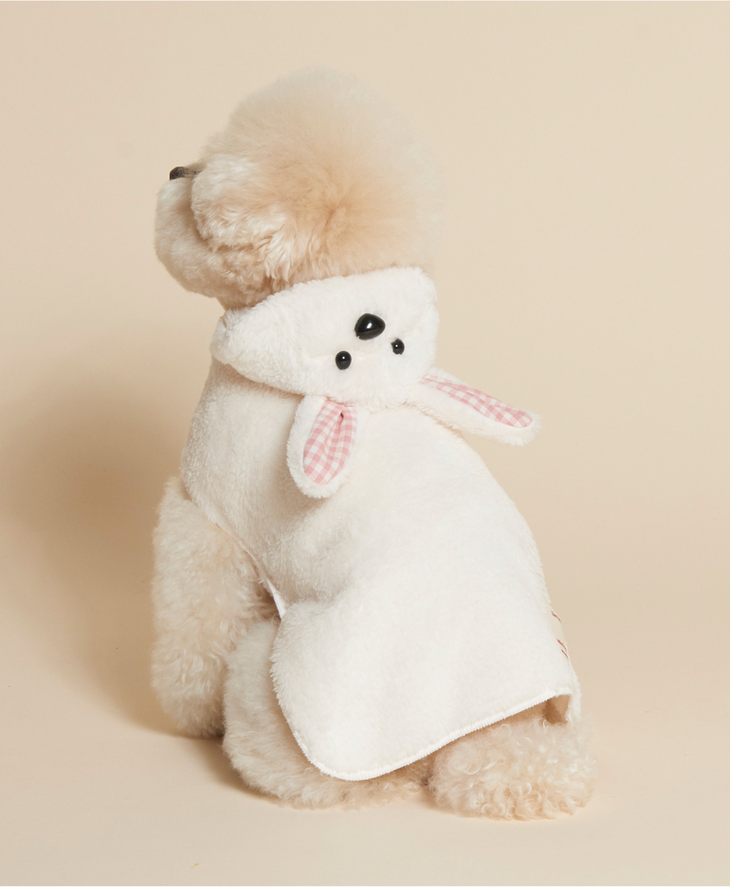 Rabbit Cape