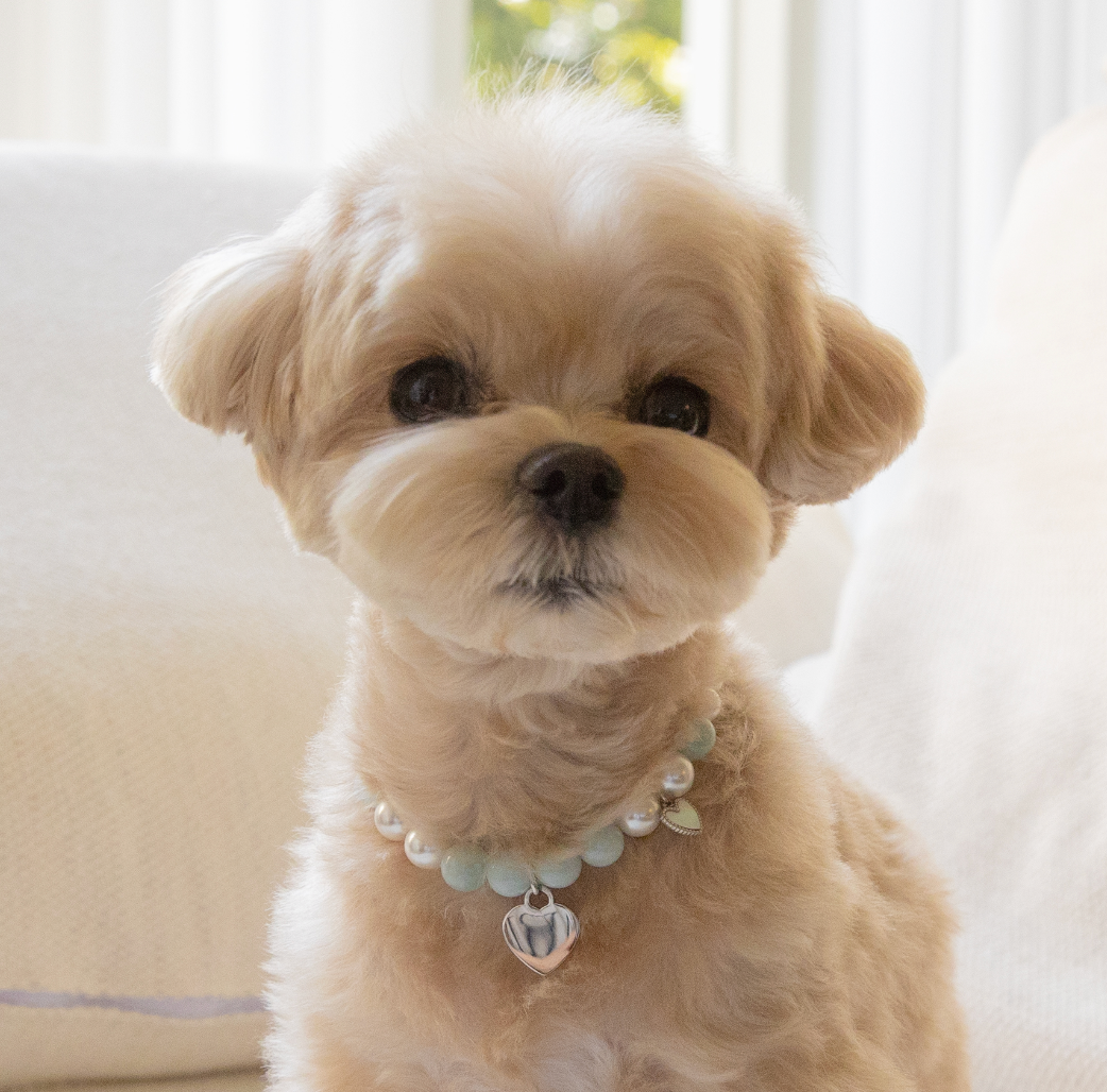 Natural gemstone and swarovski pearl name tag  necklace(Pet)