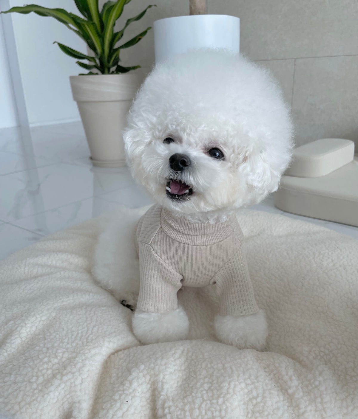 Knit Turtleneck