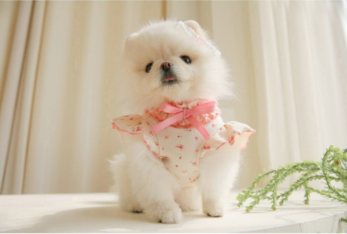 Blooming T-shirt